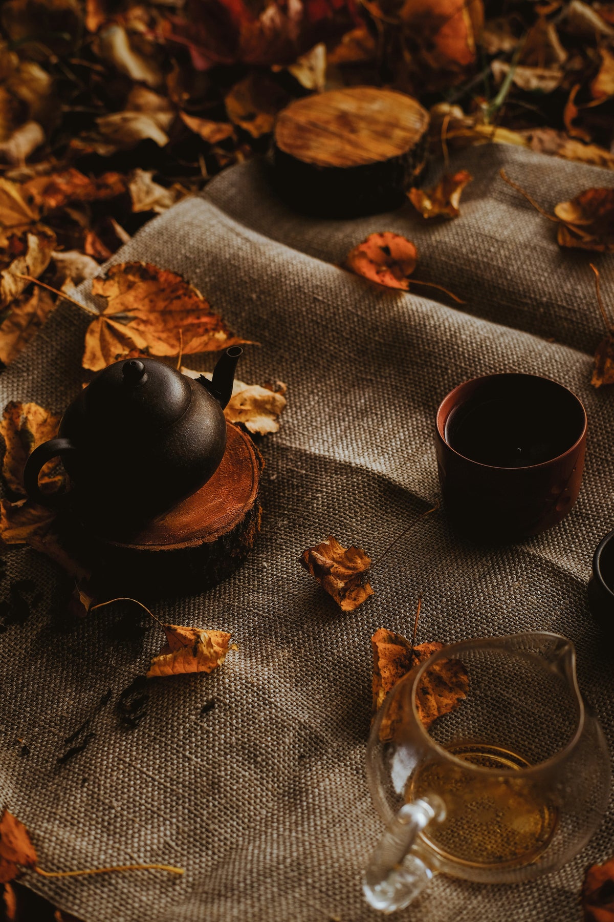 Autumn