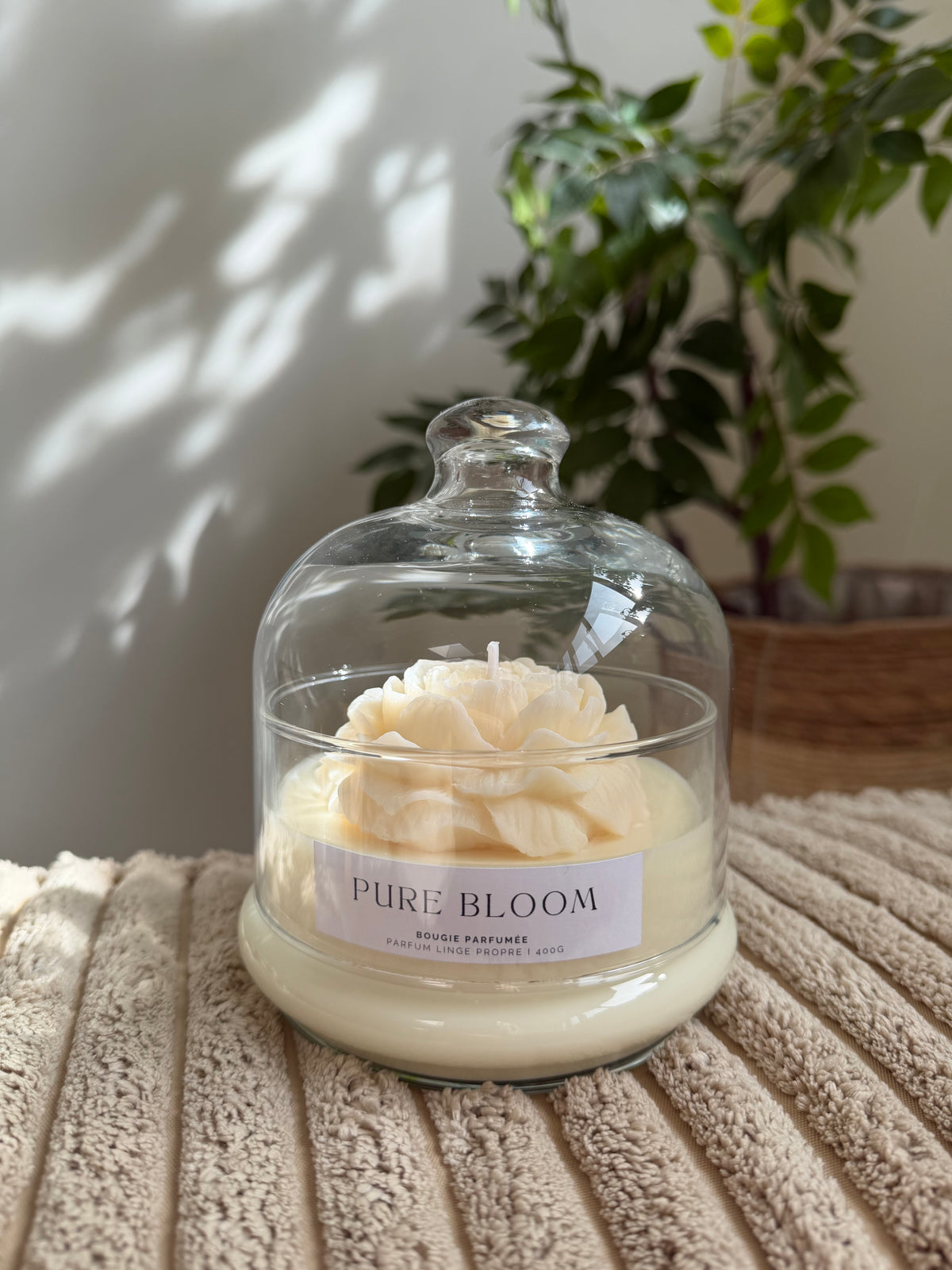 Pure Bloom