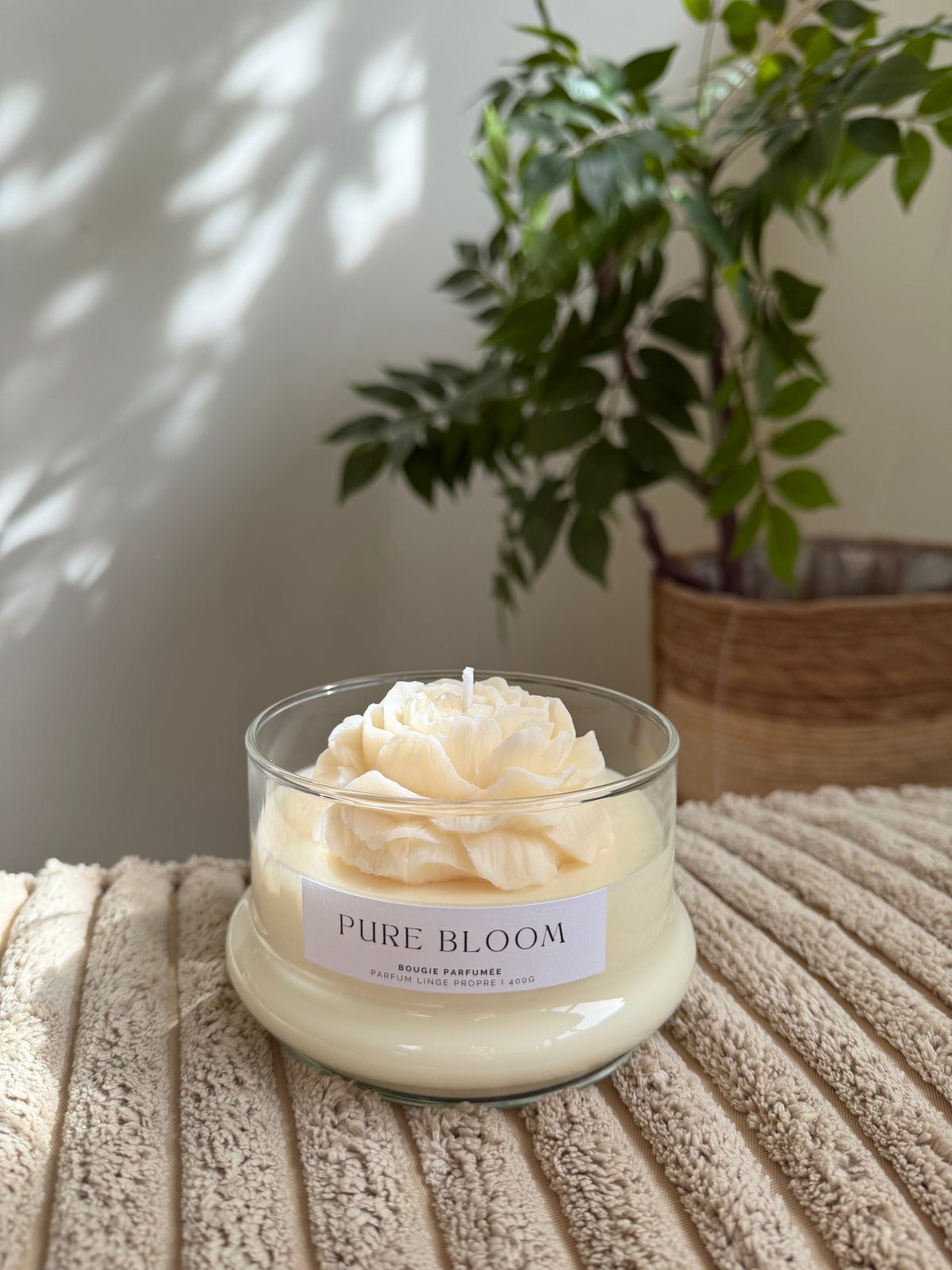 Pure Bloom