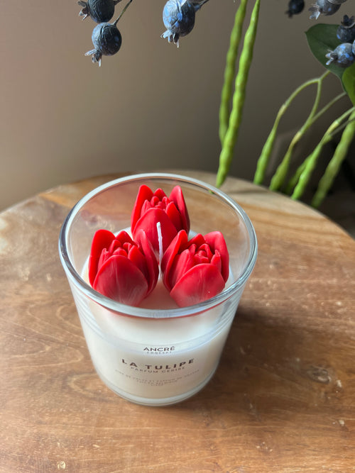 Bougie - La Tulipe